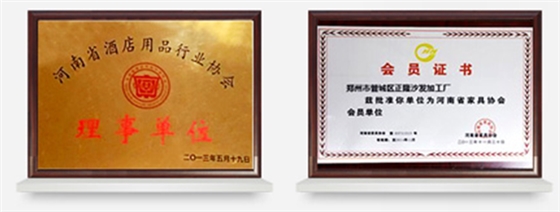 正隆足浴沙發(fā)