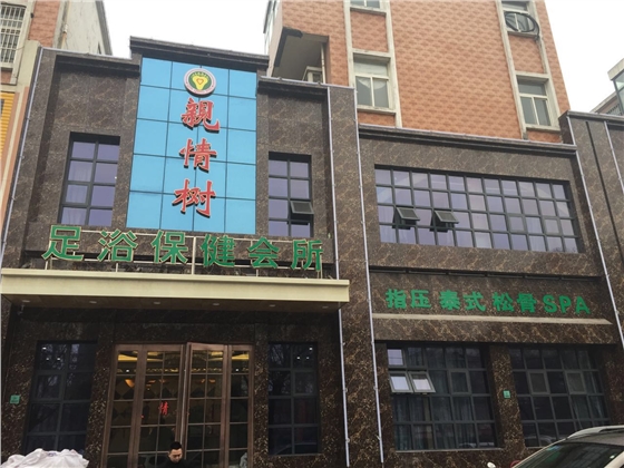 長葛親情樹
