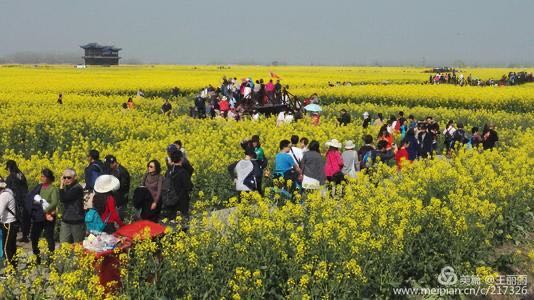 農耕樂園