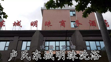 盧氏東城明珠商務酒店